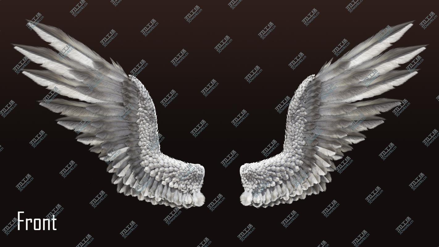 images/goods_img/20210113/3D Pair of Bird Wing [C4D] model/2.jpg